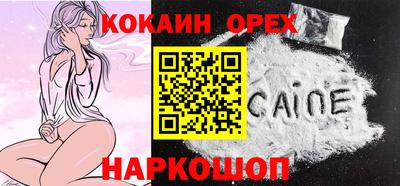 бошки Гай
