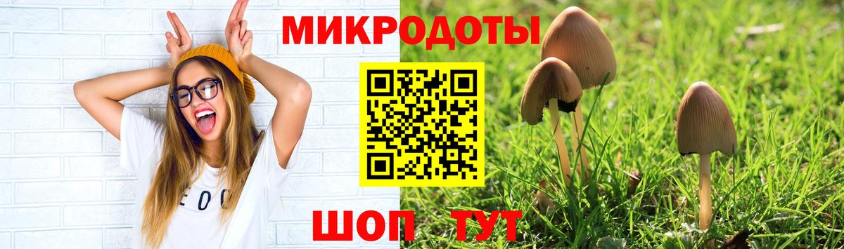 Псилоцибиновые грибы Psilocybine cubensis Сафоново
