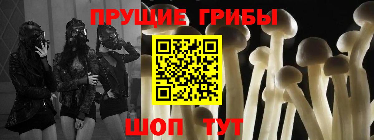 Псилоцибиновые грибы прущие грибы  Вход с VPN  Сафоново  Галлюциногенные грибы Magic Shrooms 